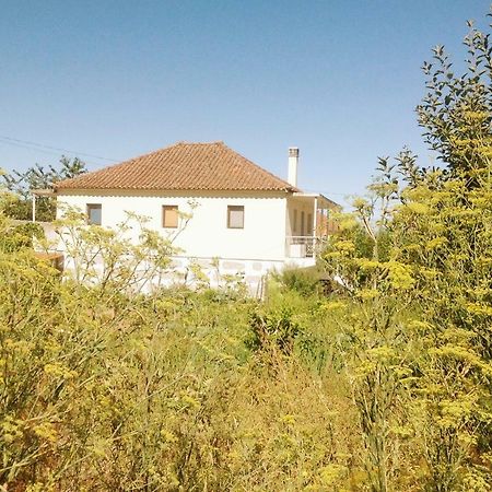 Sunnyside Home Chaves Dış mekan fotoğraf