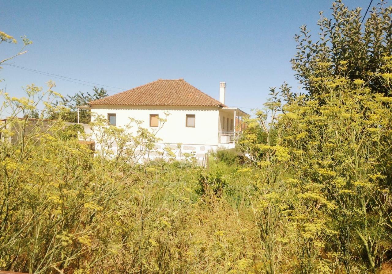 Sunnyside Home Chaves Dış mekan fotoğraf